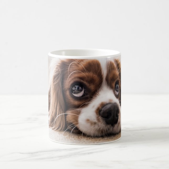 Skapa din egen husdjursfoto-mugg kaffemugg (Center)