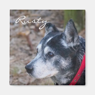 Skapa din egen husmagnet magnet