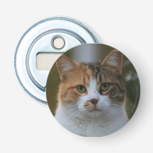 Skapa Din Egen Katt Djur Foto Anpassad Bild Flasköppnare