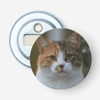 Skapa Din Egen Katt Djur Foto Anpassad Bild Flasköppnare