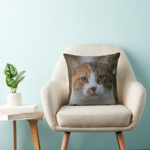 Skapa Din Egen Katt Djur Foto Anpassad Bild Kudde