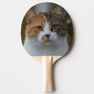 Skapa Din Egen Katt Djur Foto Anpassad Bild Pingisracket