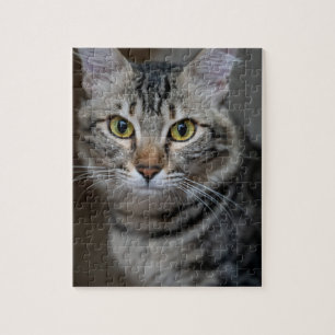 Skapa Din Egen Katt Djur Foto Anpassad Bild Pussel