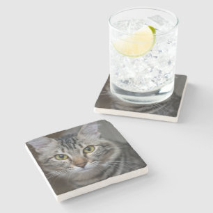 Skapa Din Egen Katt Djur Foto Anpassad Bild Stenunderlägg