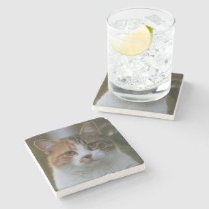 Skapa Din Egen Katt Djur Foto Anpassad Bild Stenunderlägg