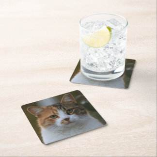 Skapa Din Egen Katt Djur Foto Anpassad Bild Underlägg Papper Kvadrat