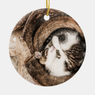 Skapa din egen - kattnåda julgransprydnad keramik