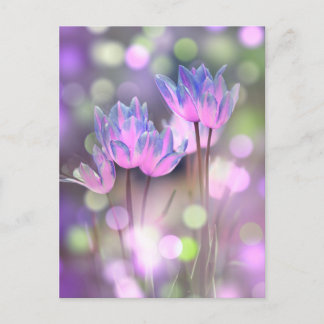 Skapa din egen Personlig Bokeh Vår blommor Vykort