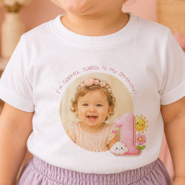 Skapa din egen rosa ettårs klänning för bebisar t shirt