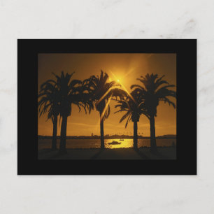 Skapa Din Egen Save The Date Beach Wedding Tema An Meddelande Vykort