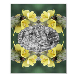 Skapa din egen skalbagge Mullein Flower Ram 8 x 10 Fototryck