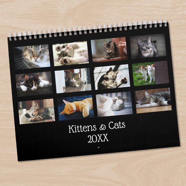 Skapa Din Egen Söt Svart Omslags Katt Bild Kalender (Create Your Own Cute Black Cover Pet Photo Calendar in situ)