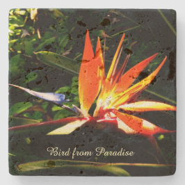 Skapa din egen sten Underlägg - Paradiss fågel