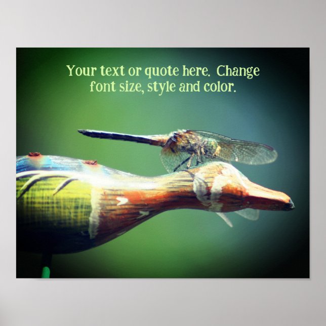 Skapa din egen textdragonfly poster (Framsidan)