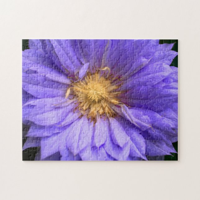 Skapa Din Egen Vacker Dahlia Blomma Pussel (Horisontell)