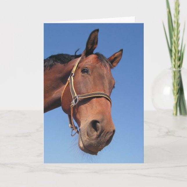 Skapa din egna beställnings- fotogåva kort (Framsida)