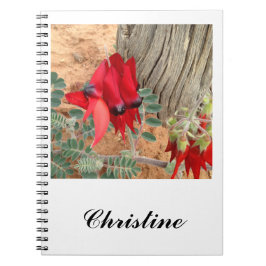 Skapa din stationära dator Sturt's Desert Pea Anteckningsbok Med Spiral