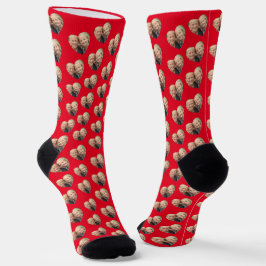 Skapa dina egna fotosocklar