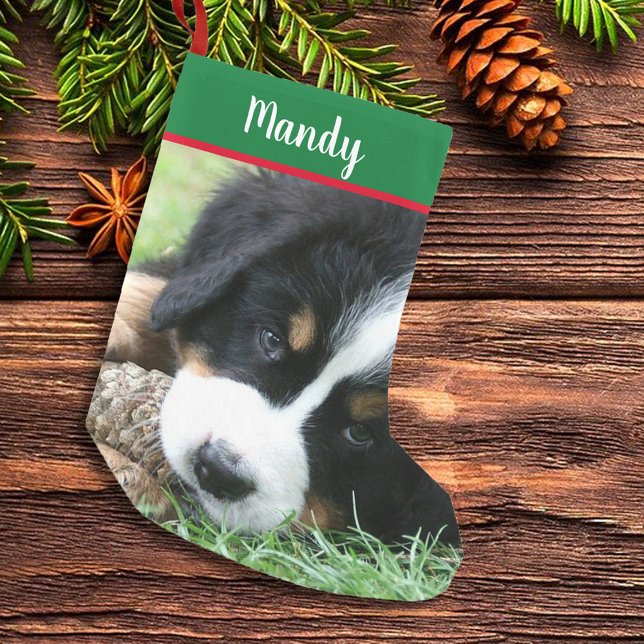 Skapa dina egna fullt-hund liten julstrumpa (Create your own full photo, Christmas stocking. Beautiful stocking with your own photo and name.)
