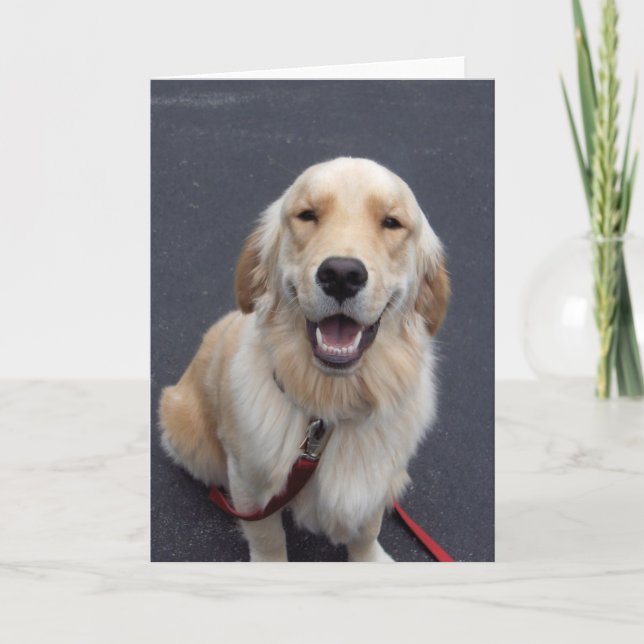 Skapa dina egna uttryck! Lätt att använda verktyg! Helgkort (Framsida)