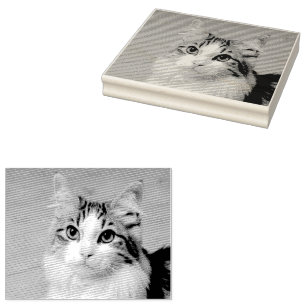 Skapa Ditt Eget Anpassat Foto Husdjur Katt Hund Dj Stämpel