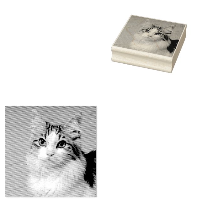 Skapa Ditt Eget Anpassat Foto Husdjur Katt Hund Dj Stämpel (Stämplad)