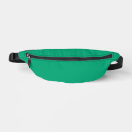 Skapa ditt eget Anpassningsbar Fanny Pack