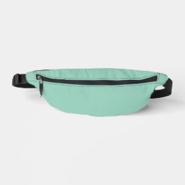 Skapa ditt eget Anpassningsbar Fanny Pack