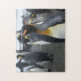 Skapa Ditt Eget Antarktiskt Landskaps Pussel 11x14