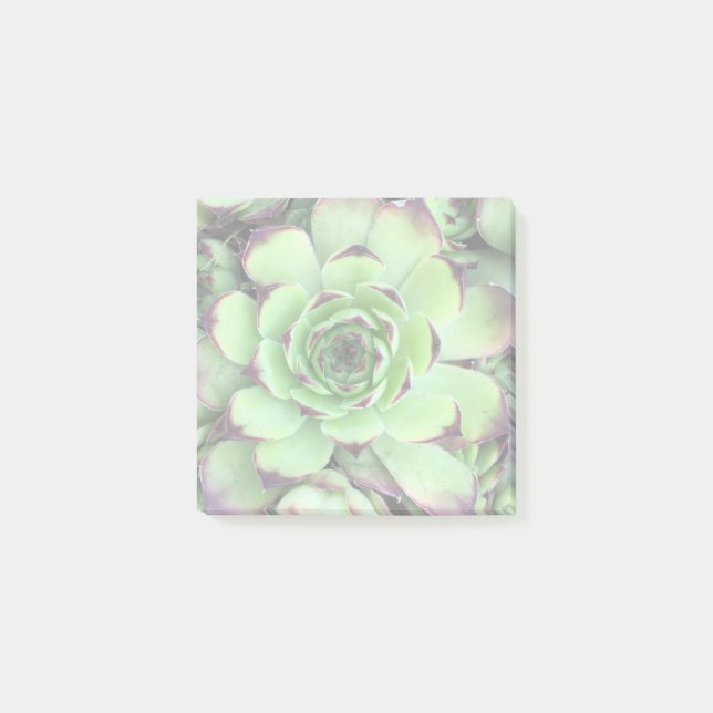 Skapa ditt eget belysta foto post-it block (Framsida)