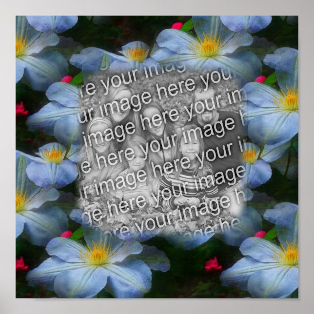 Skapa ditt eget foto Clematis Flower Gräns Poster (Framsidan)