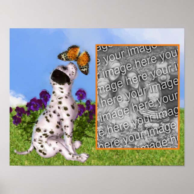Skapa ditt eget foto Dalmatiska påfyllnadsfjäril Poster (Framsidan)