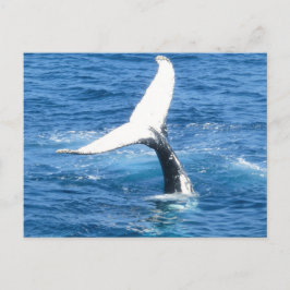 Skapa ditt eget foto-Helgdag-vykort Helg Vykort