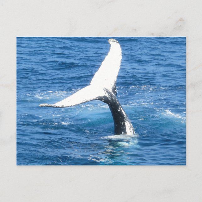 Skapa ditt eget foto-Helgdag-vykort Helg Vykort (Framsida)