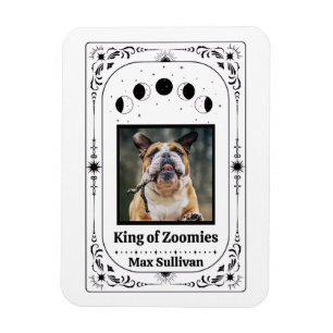 Skapa Ditt Eget Foto Tarot Hundälskare Husdjur Min Magnet