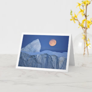Skapa ditt eget fotokort kort