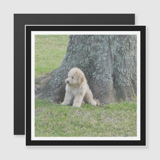 Skapa ditt eget fotonät för svart och vitt fyrkant (Fram/baksida)