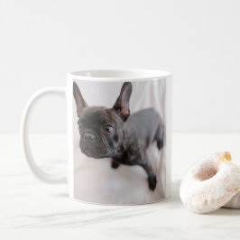 Skapa Ditt Eget Husdjur Foto Kaffemugg