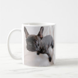 Skapa Ditt Eget Husdjur Foto  Kaffemugg