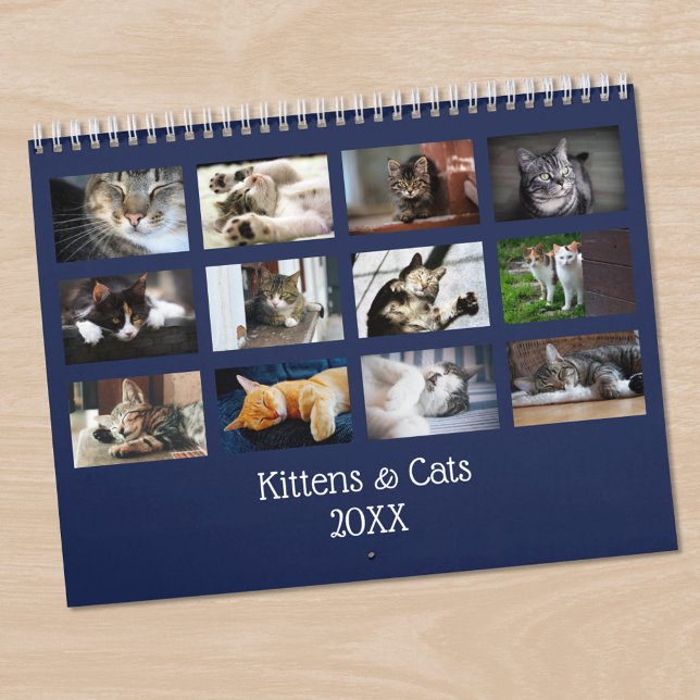 Skapa Ditt Eget Husdjur Foto Marinblå Omslag Kalender (Create Your Own Pet Photo Navy Blue Cover Calendar, in situ)