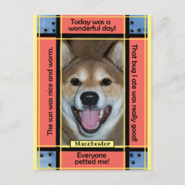 Skapa Ditt Eget Husdjur Hund Katt Foto Rolig Text Vykort