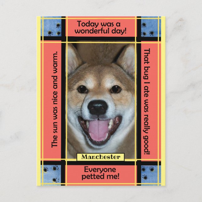 Skapa Ditt Eget Katt Hund Husdjur Foto Rolig Text Vykort (Framsida)