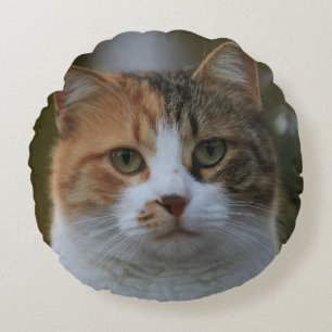 Skapa Ditt Eget Kattdjur Foto Anpassad Bild Rund Kudde