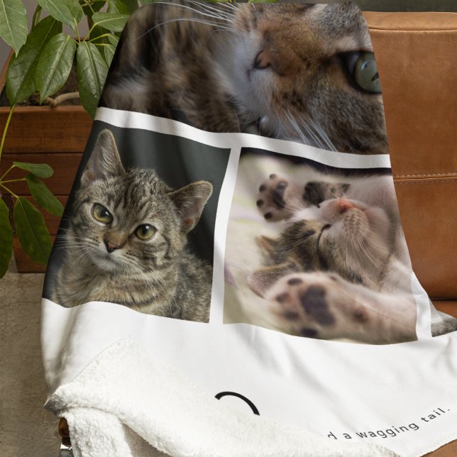 Skapa Ditt Eget Kattfoto Fleecefilt (Skapare uppladdad)