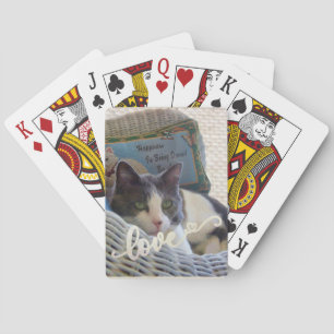 Skapa ditt eget levande sällskapsdjur casinokort