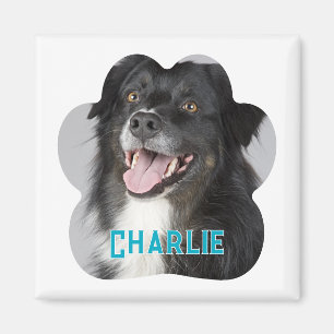 Skapa ditt eget Pet-Hund-foto Magnet