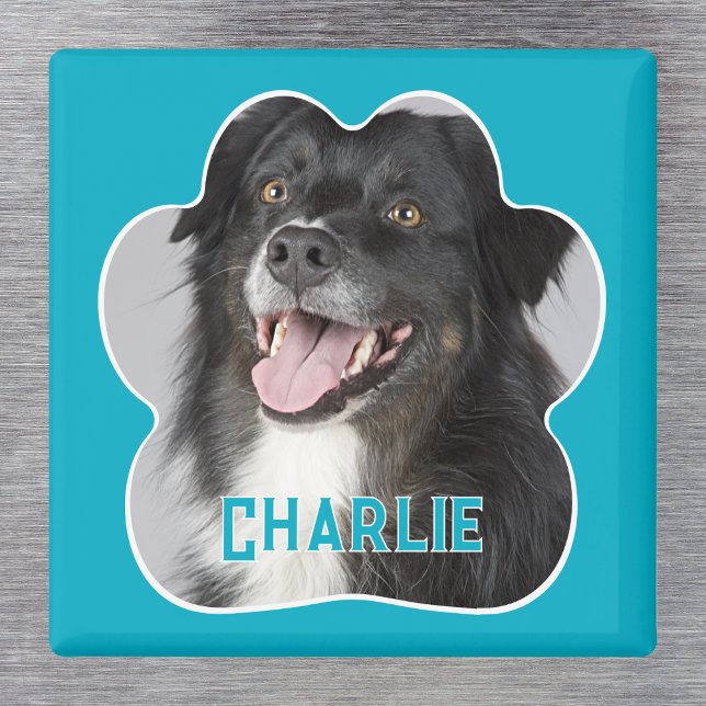 Skapa ditt eget Pet-Hund-foto Magnet (Dog Photo Magnet. Create your own personalized paw print design complete with name. )