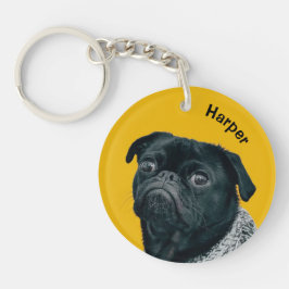 Skapa ditt eget sällskapsdjur Hund Pug