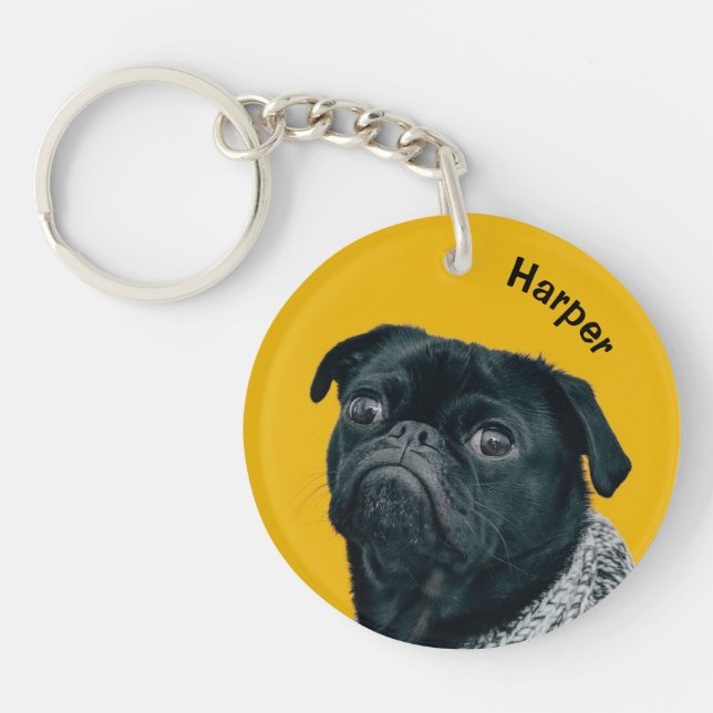 Skapa ditt eget sällskapsdjur Hund Pug (Framsidan)