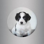 Skapa ditt eget sällskapsfoto Namn och år Magnet<br><div class="desc">Skapa din egen söta anpassningsbar med foto och text för husdjur. Lägg enkelt till ditt foto av hund/katt/pälsbarn,  namn och år i sidlisten. Texten visas över grund på fotot i böjd vit text. Gör en underbar lagerhållare för familjens djurälskare och en underbar keepy för dig. Upphovsrätt ©Claire E. Skinner.</div>